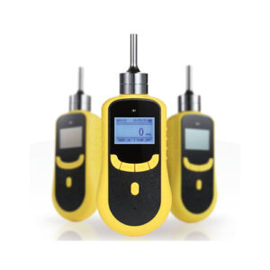 Safegas SKY2000 Portable Gas Detector